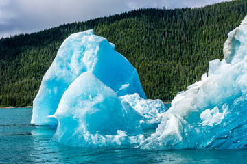 Large Iceberg on Alaska's Tracy Arm Fjord
