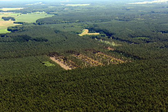 Friedländer Bilder Durchsuchen 170 Archivfotos, und