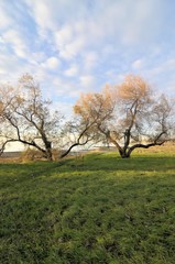 ANCARANO, SLOVENIA, LAZZARETTO