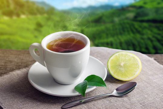 Cup of hot brown tea with a piece of lemon on the background of plantations. Concept tea beverage industry