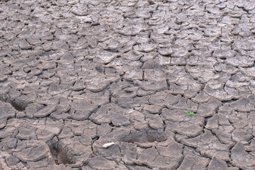 Dried and Cracked ground,arid soil close up