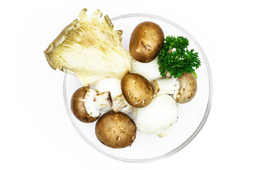 Pilze in einer Glasschale