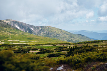 Scenic landscape of beautiful green mountains with hills, melting snow on the slopes on sunny day. Spring in Carpathian mountains, Ukraine
