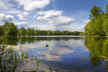 View of a lake on a beautiful summer day, some clouds in the sky and trees around