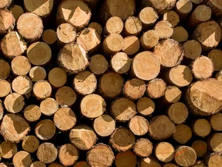 Möbelaufkleber Pile of wood logs © VJ