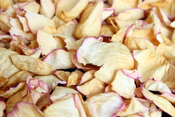 Dried rose petals. Background. Close-up.
