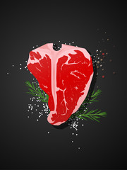 Raw beef, t-bone steak with seasoning on dark background , vector , illustration