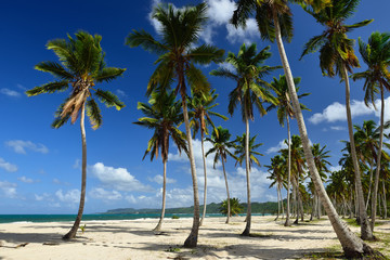 The wild beach and hard to reach on the Samana peninsula in Dominican Republic