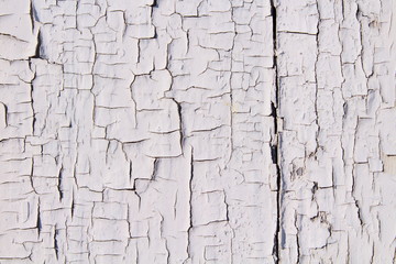 Old board with dried blue paint. Background.
