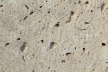 The surface of the foam block is close-up. Background.