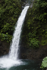 Fototapeta premium Waterfall