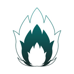 Flamme isolated symbol vector illustration graphic design