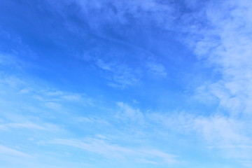 Beautiful blue sky and cirrus clouds. Background. Landscape.