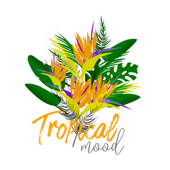 Tropical vector floral collage