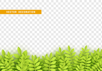 Fototapeta na wymiar Grass, shape plant leaves border isolated with transparent background. Vector Illustration