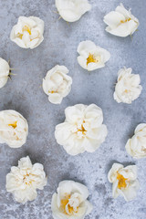 Fototapeta na wymiar Pattern of white vintage roses on the grey textured table