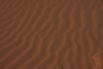 Sand Drift at Coral Pink Sand Dunes State Park, Utah.  Ridges in the sand.