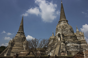 Fototapeta premium Descubriendo Tailandia