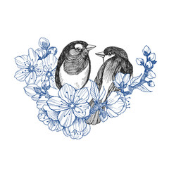 Two birds hand drawn in vintage style with flowers. Spring birds sitting on blossom branches. Linear engraved art. Bird concept. Romantic concept. Vector design