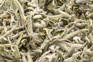 dry Greek sage herb (fascomilo)