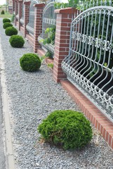 Ogrodzenie © bnorbert3