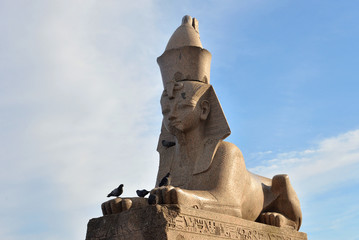 Ancient Egyptian sphinx.