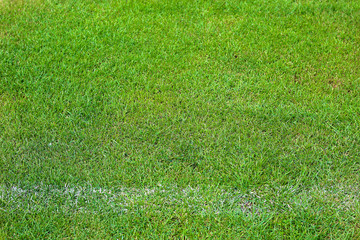The sides of the football field with a line of marking