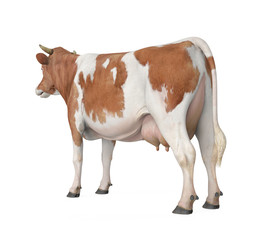 Cow Isolated