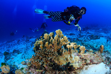 SCUBA diver swimming over a tropical coral reef