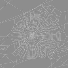 vector background spider web