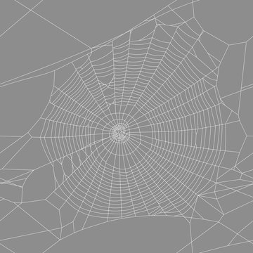 vector background spider web