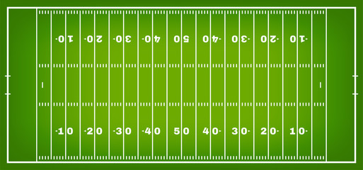 American football field with marking. Football field in top view with white markup © Yevhenii
