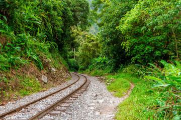 Fototapeta premium Railroad tracks go into the Urubamba jungle towards Machu Picchu, Peru