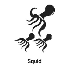 Squid icon vector sign and symbol isolated on white background, Squid logo concept