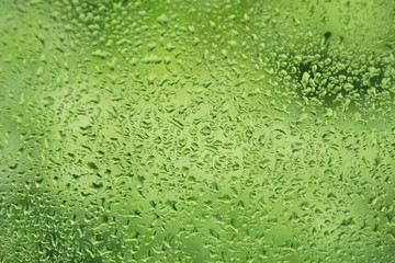 summer rain drops on window glass fresh green background texture