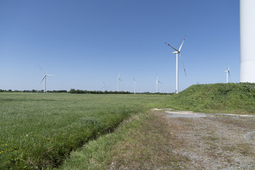Fototapeta na wymiar Windräder in einer Wiesenlandschaft
