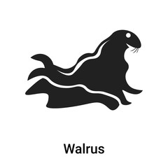 Walrus icon vector sign and symbol isolated on white background, Walrus logo concept