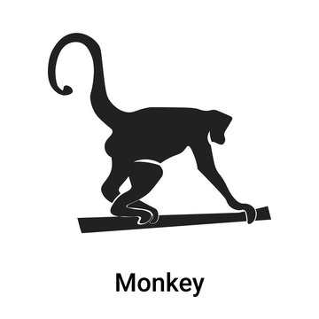 Monkey icon vector sign and symbol isolated on white background, Monkey logo concept