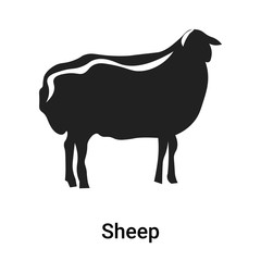 Sheep icon vector sign and symbol isolated on white background, Sheep logo concept