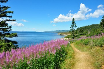 Parc Notional Forillon, Gasp&eacute;sie, Qu&eacute;bec