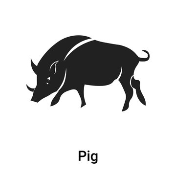 Pig icon vector sign and symbol isolated on white background, Pig logo concept