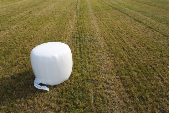 Ensilage