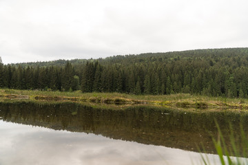 Fototapeta na wymiar Bavarian Forest - Arber Lake