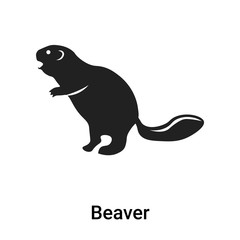 Beaver icon vector sign and symbol isolated on white background, Beaver logo concept