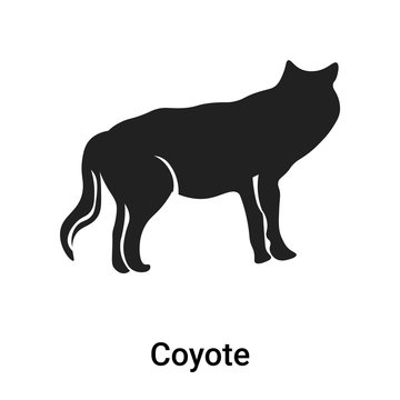 Coyote icon vector sign and symbol isolated on white background, Coyote logo concept
