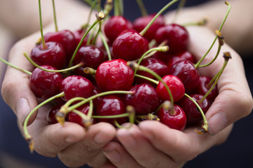 ripe and juicy red cherry