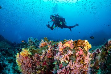 Fototapeta na wymiar Female SCUBA diver swims over a healthy, colorful tropical coral reef