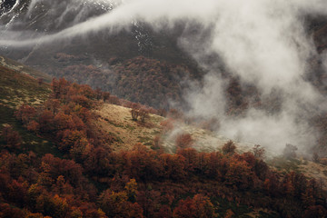 Fog over a mountain hill in autumn.