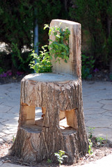 Fototapeta premium SILLA TALLADA DE UN ÁRBOL