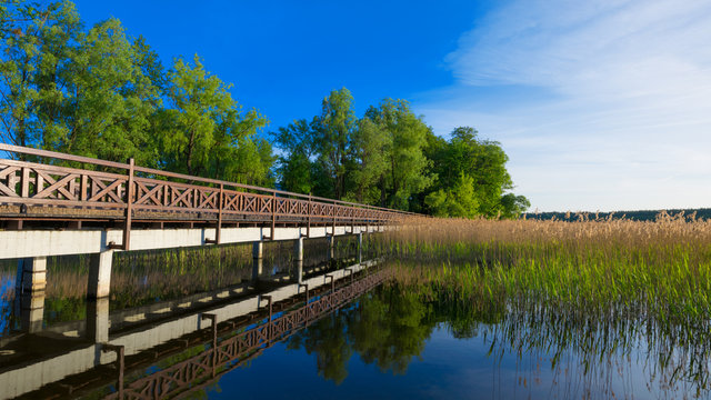 Sqirrel path in Olecko -  route around the Olecko Wielkie Lake. View from the lake. Masuria, Poland.